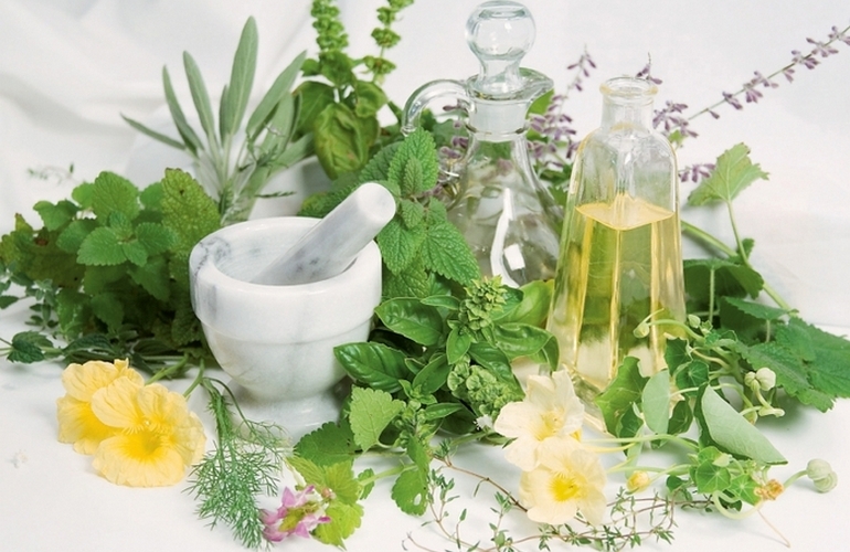 Гомеопатические средства из растений